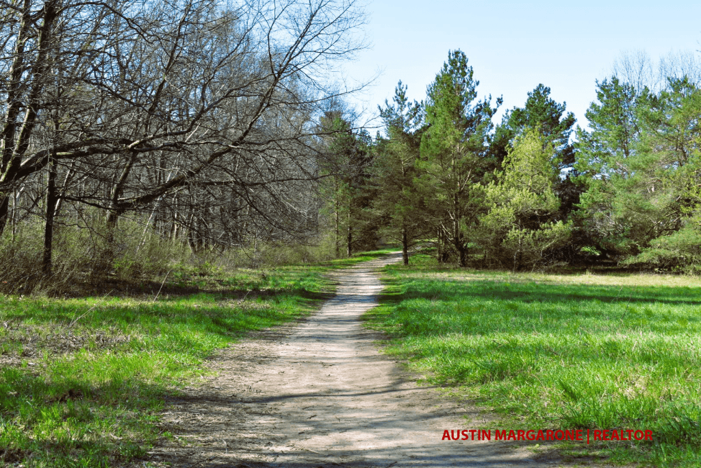 Gosnell Big Woods Preserve