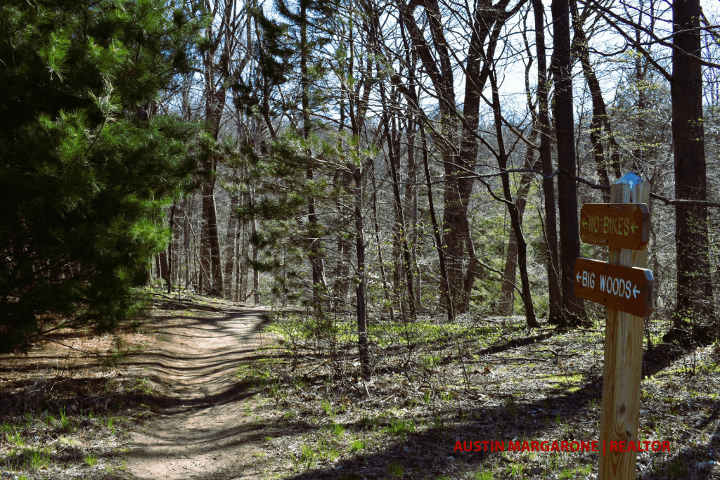 Gosnell Big Woods Preserve