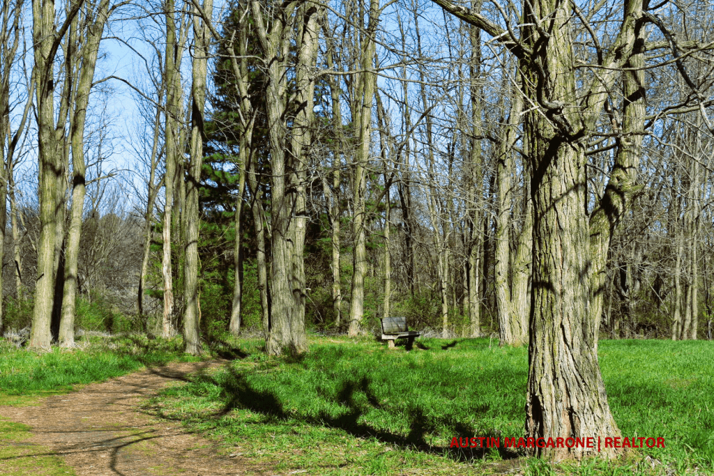 Gosnell Big Woods Preserve